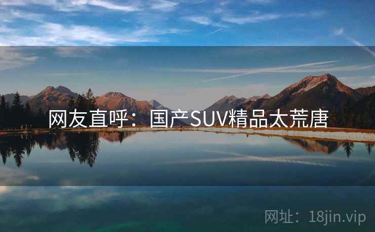 网友直呼：国产SUV精品太荒唐