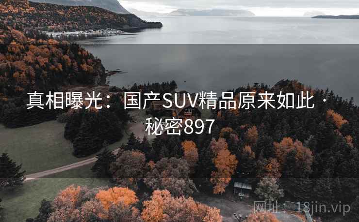 真相曝光：国产SUV精品原来如此 · 秘密897